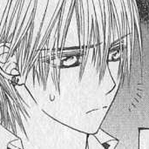 Vampire Knight Chapter 24.5 : Side Story: Vampires Covered in Blood Are Prohibited from Entering This Page!!.. cover