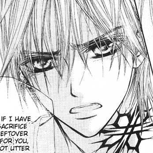 Vampire Knight Chapter 29 : Quickening cover