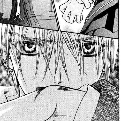 Vampire Knight Chapter 3 : Vampires within the Vampires cover