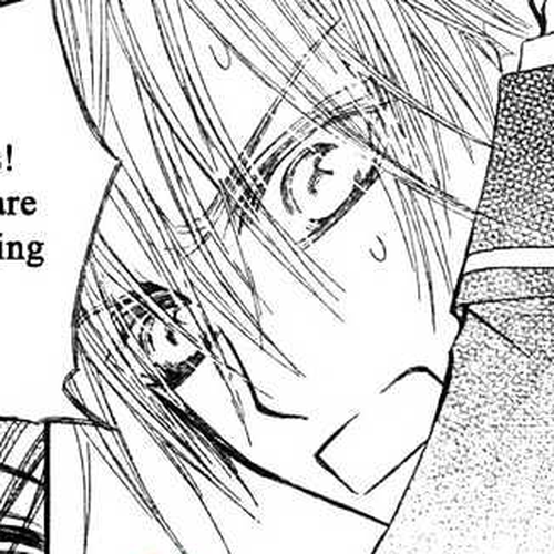 Vampire Knight Chapter 31 cover