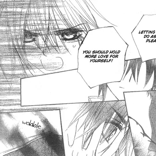 Vampire Knight Chapter 36 : An Impossible Wish cover