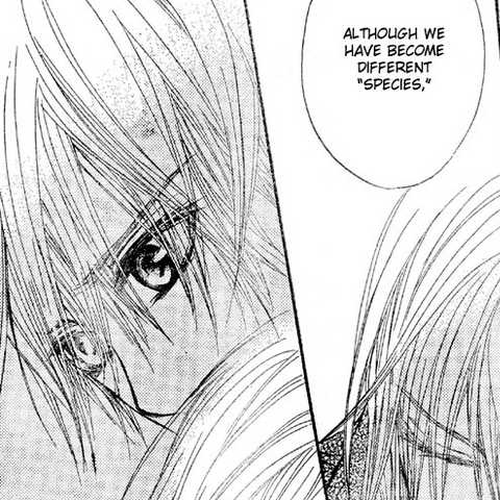 Vampire Knight Chapter 40 : The Arms That Hold The Original Sin cover