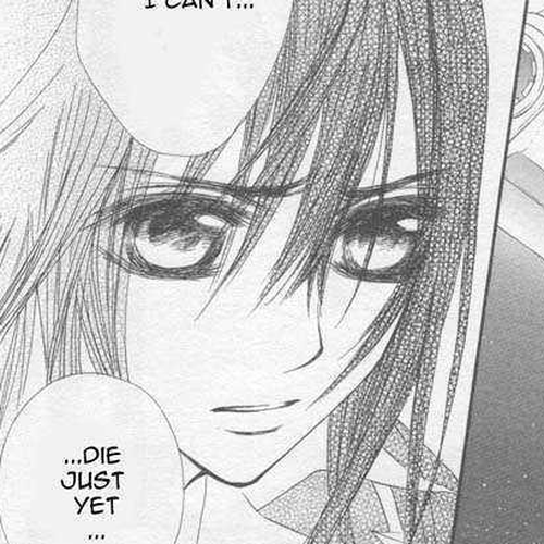 Vampire Knight Chapter 43 : Vampire Knight cover