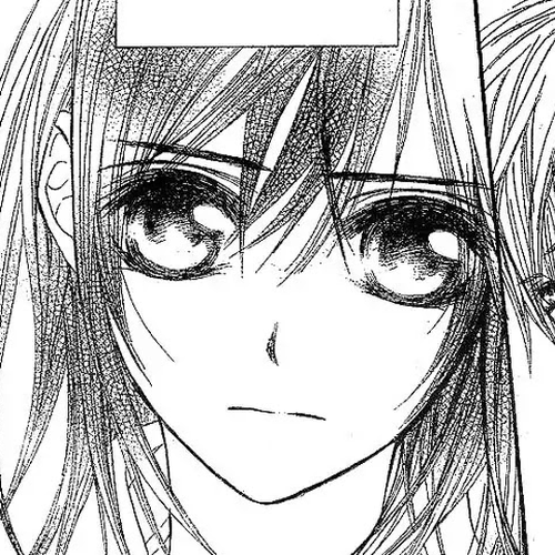 Vampire Knight Chapter 44 : Attachment cover