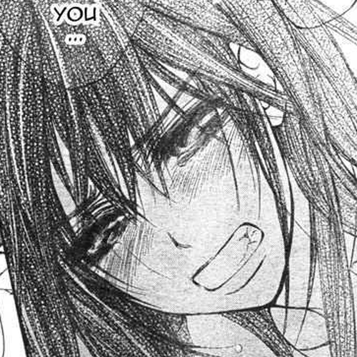 Vampire Knight Chapter 47 : Towards Each of Their Respective Paths cover