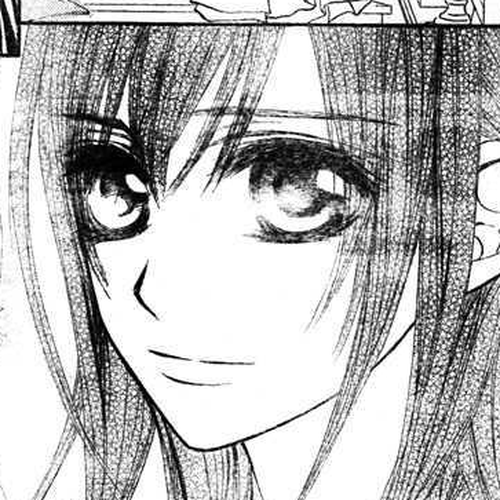 Vampire Knight Chapter 52 : Beasts Madly in Love cover