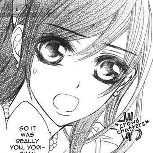 Vampire Knight Chapter 54 : The Enemies of The PureBloods cover