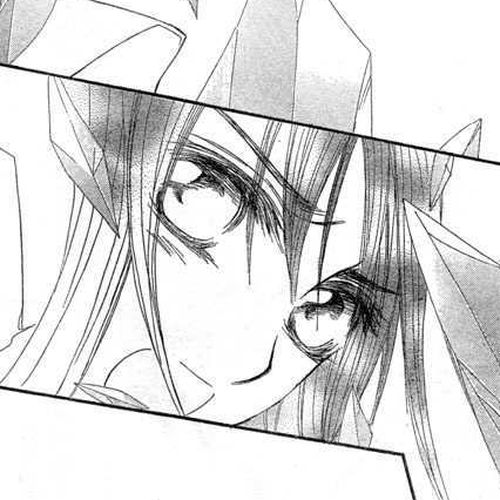Vampire Knight Chapter 55 : The Beginning of the Beginning cover