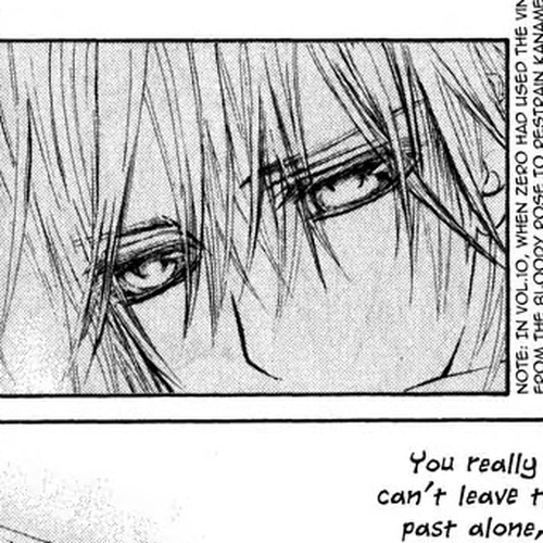 Vampire Knight Chapter 58.2 cover