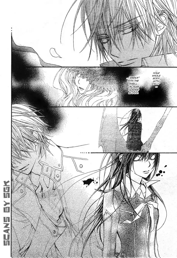Vampire Knight Chapter 59 page 19 - Chapter 59 : Tombstones