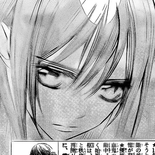 Vampire Knight Chapter 74 : The Pure Blood Vampire's Motive cover