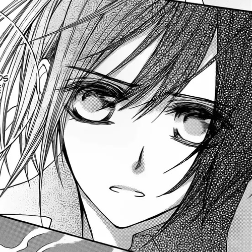Vampire Knight Chapter 84 : The Arrogant King and the Conceited Queen cover