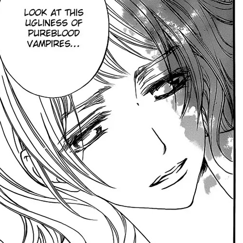 Vampire Knight Chapter 85 : I Will Succeed You cover