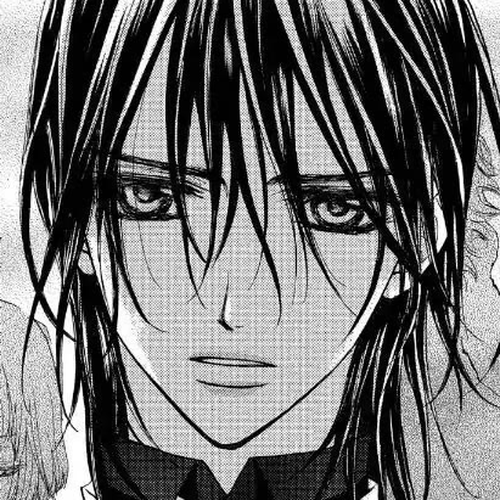 Vampire Knight Chapter 9.5 cover