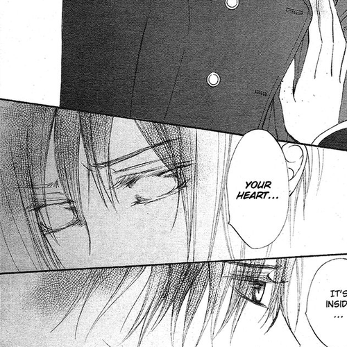 Vampire Knight Chapter 93 : The Last Night Vampire Knight (LQ) (End) cover
