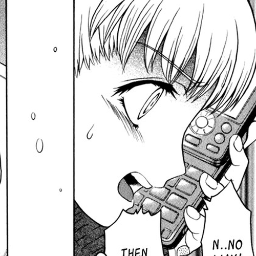 Vector Case File - Inaho no Konchuuki Chapter 4: Train Molester's Idol cover