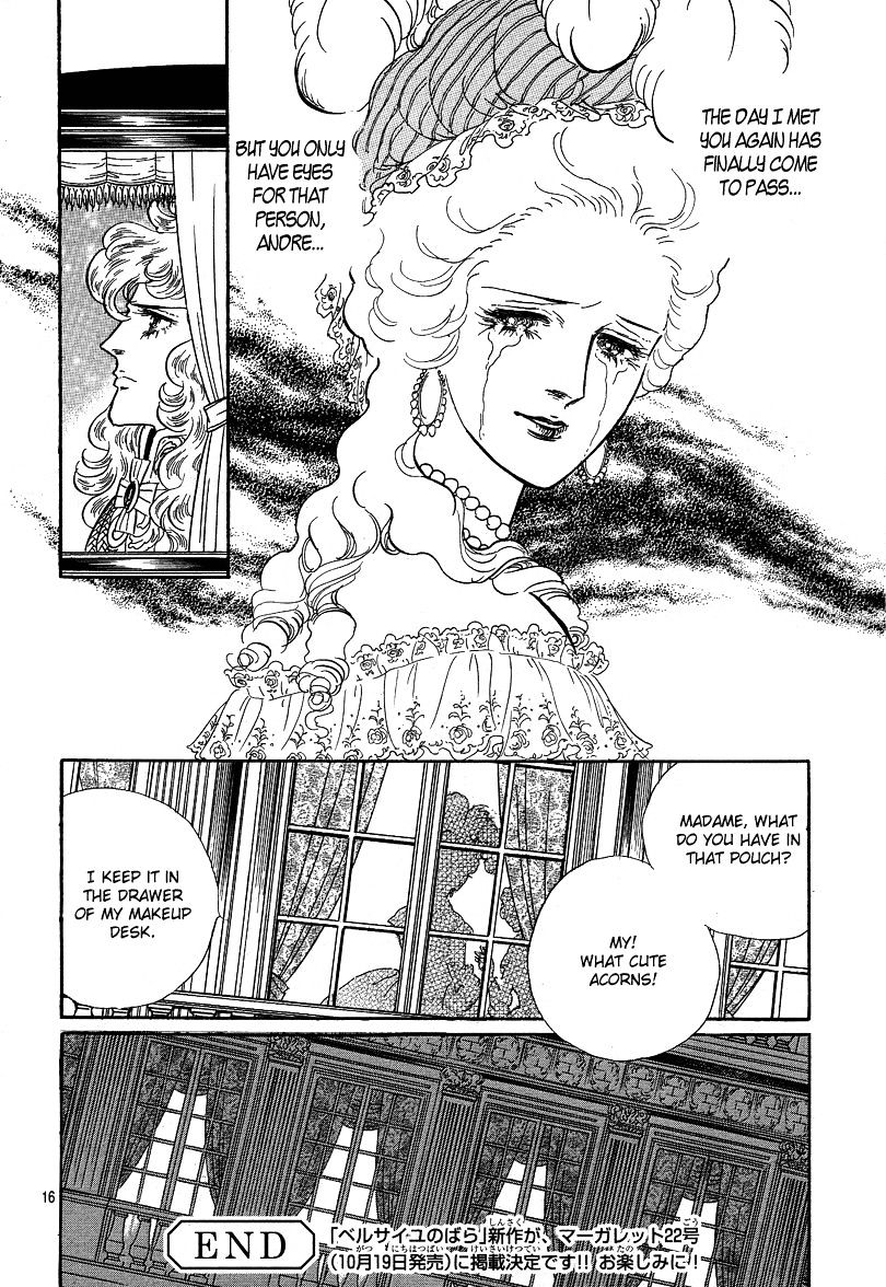 Versailles no Bara Chapter 66.1 page 17 - Chapter 66.1 : Special 01: Andre