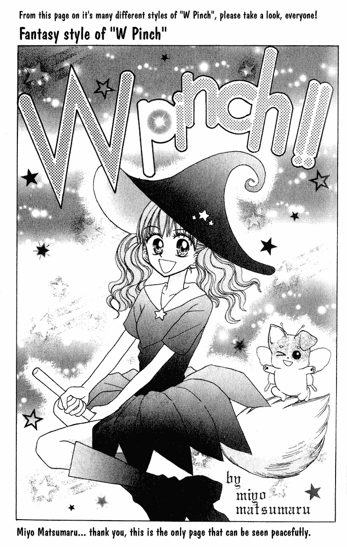 W-Pinch Chapter 4.5 page 19 - Chapter 4.5