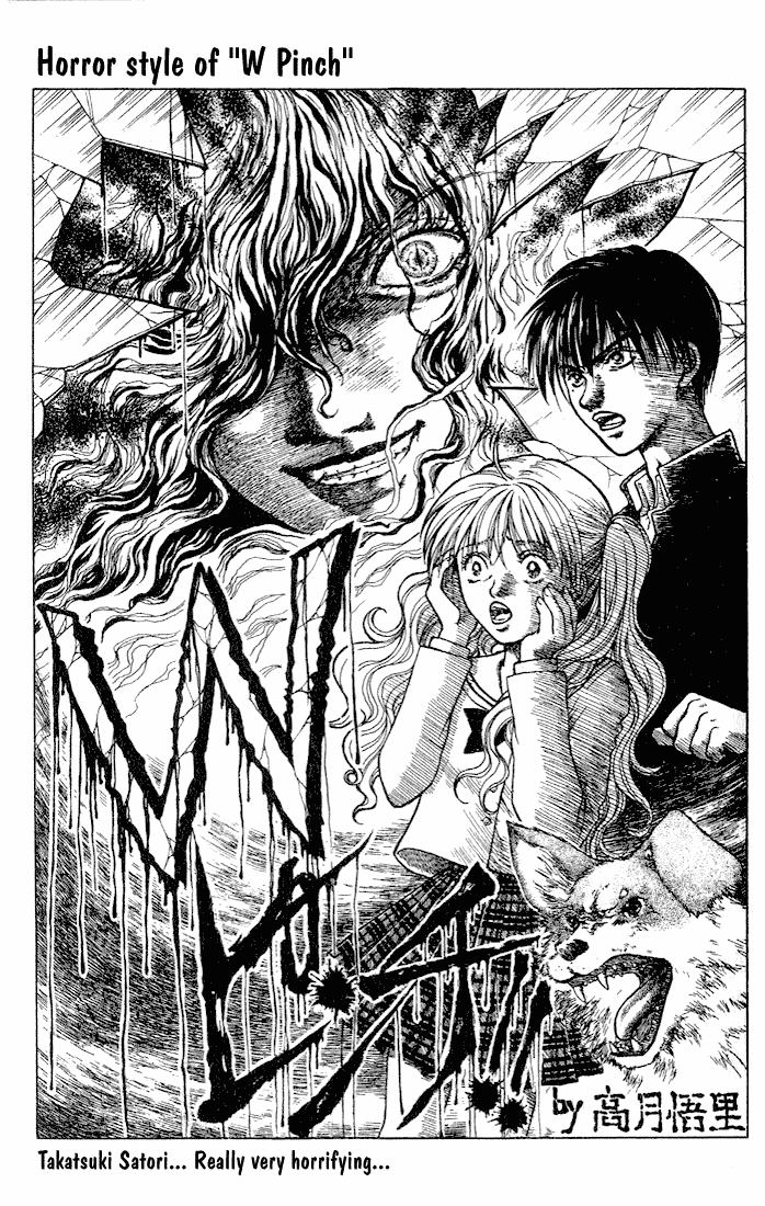 W-Pinch Chapter 4.5 page 21 - Chapter 4.5