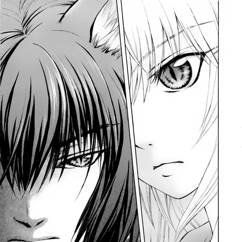 Wagaya no Oinarisama. Chapter 30: Gold and Silver, Oinarisama cover