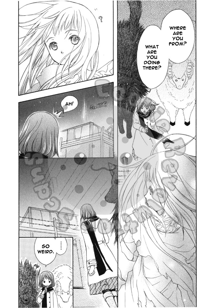 Wagaya no Oinarisama. Chapter 41 page 5 - Chapter 41: With a White Butterfly, Fox Spirit-sama