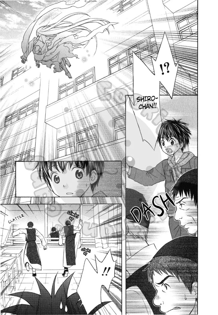 Wagaya no Oinarisama. Chapter 43 page 17 - Chapter 43: Takagami siblings, you’re popular