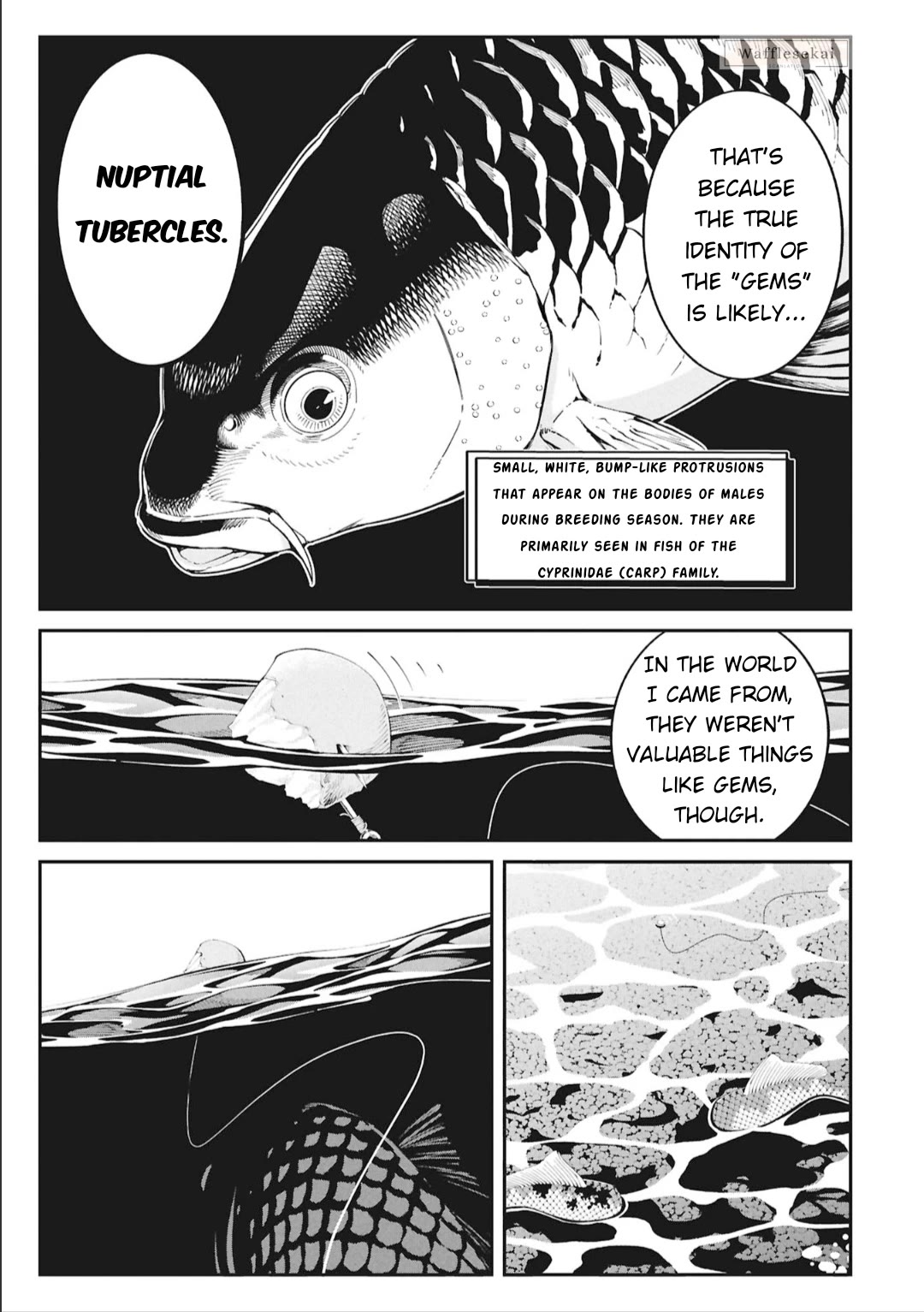 Wandering Around Another World With Just One Fishing Rod Chapter 5 page 12 - Chapter 5: The Fisherman Catches a Carp