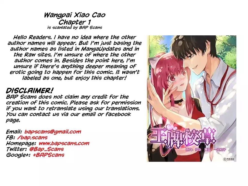 Wangpai Xiao Cao Chapter 1 page 9 - Chapter 1