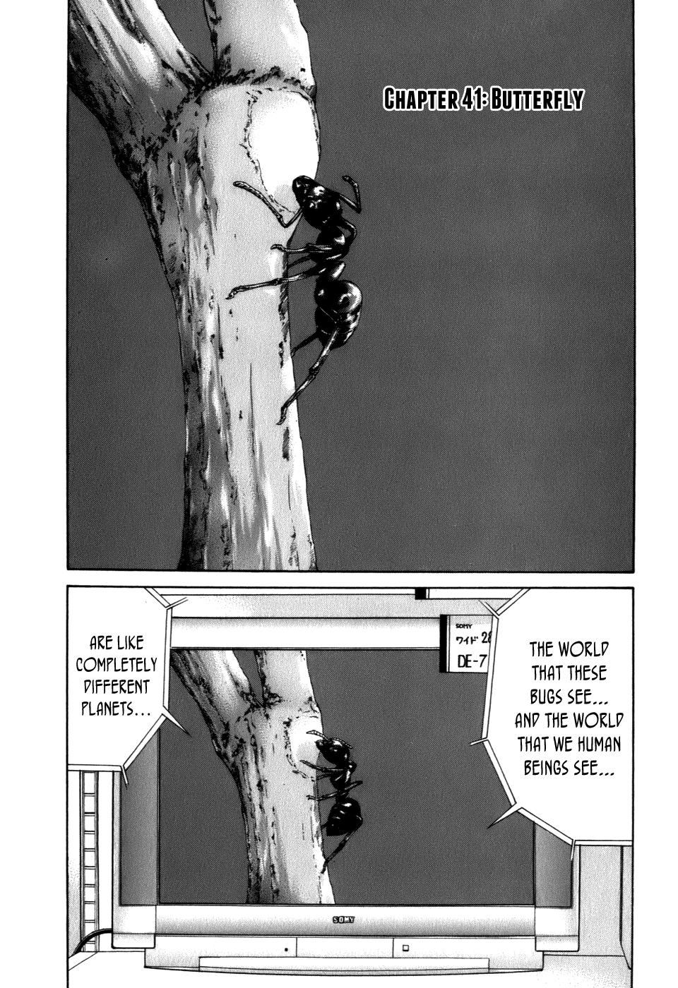 Wanitokagegisu Chapter 41 page 1 - Chapter 41: Butterfly