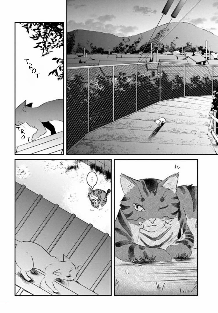 Wanting to Cry, I Pretend to Be a Cat Chapter 4 page 27 - Chapter 4: Same Smell