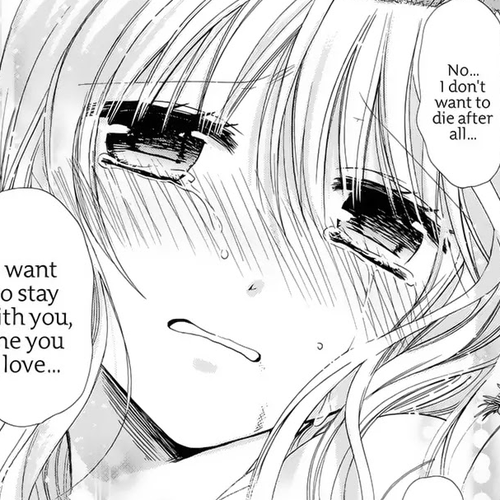 Watashi ni xx Shinasai! Chapter 73: The Kingdom of Ice and Her Frozen Heart cover