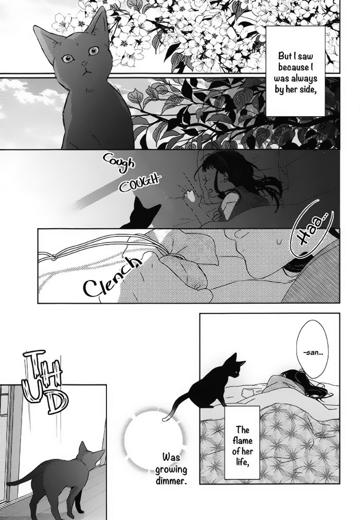 Watashi no Ookami-kun Chapter 18 page 13 - Chapter 18 : Senri Side Story