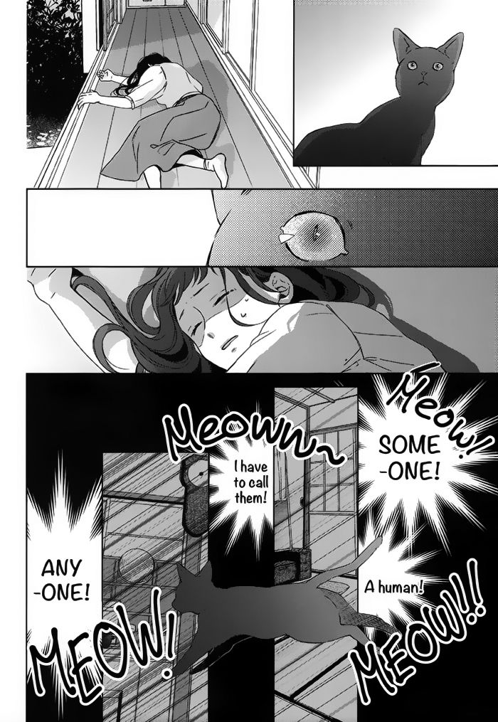 Watashi no Ookami-kun Chapter 18 page 14 - Chapter 18 : Senri Side Story