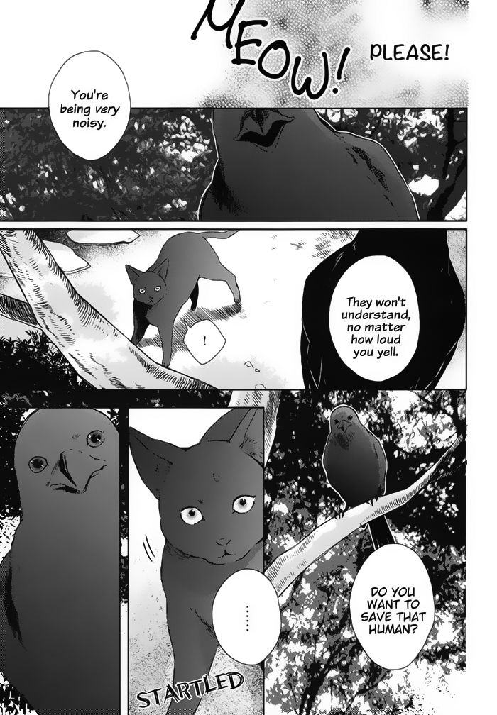 Watashi no Ookami-kun Chapter 18 page 15 - Chapter 18 : Senri Side Story