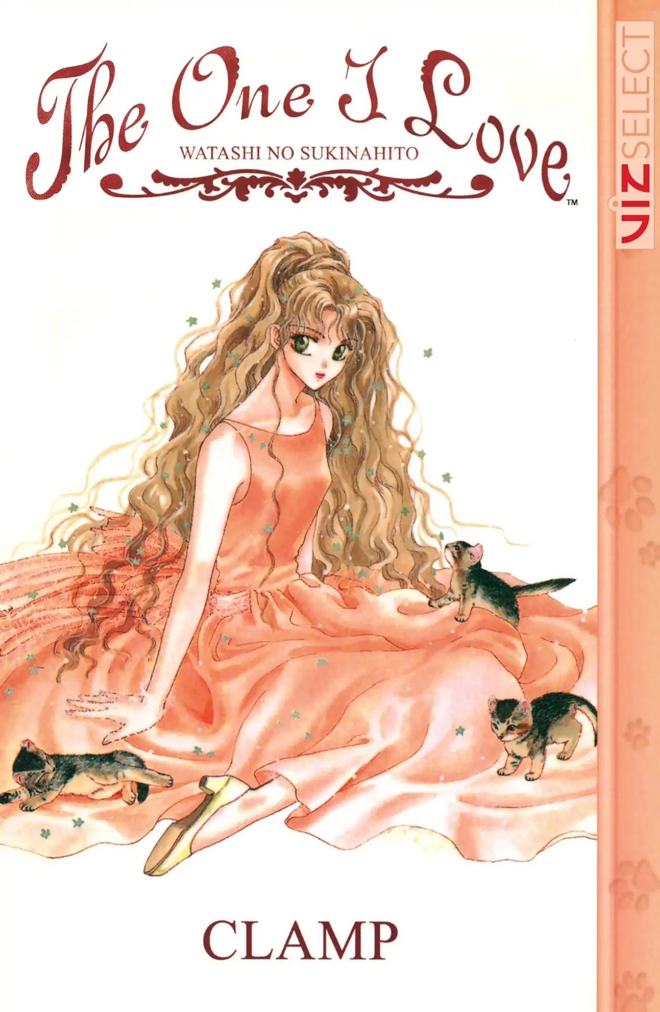 Watashi no Sukina Hito Chapter 1 page 1 - Chapter 1: SCENE 1: Different