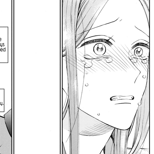Watashi no Tadashii Onii-chan Chapter 15 cover