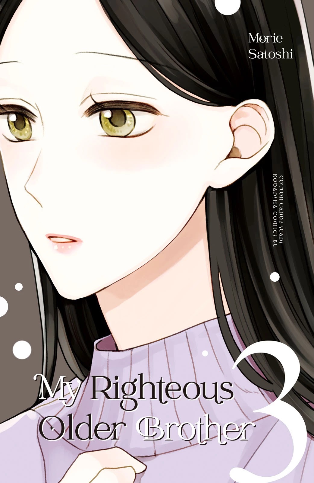 Watashi no Tadashii Onii-chan Chapter 9 page 3 - Chapter 9