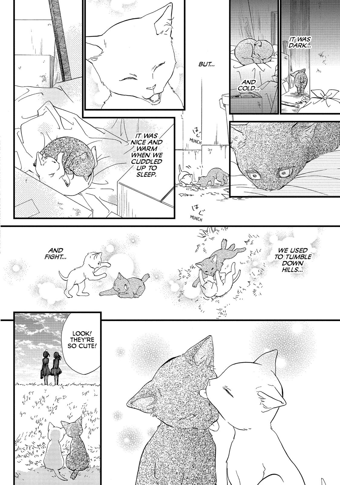 Watashitachi ni wa Kabe ga Aru. Chapter 33 page 47 - Chapter 33 [END]