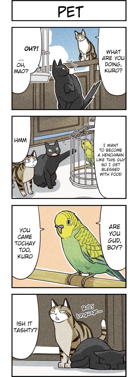 We Are Cats Chapter 10 page 2 - Chapter 10