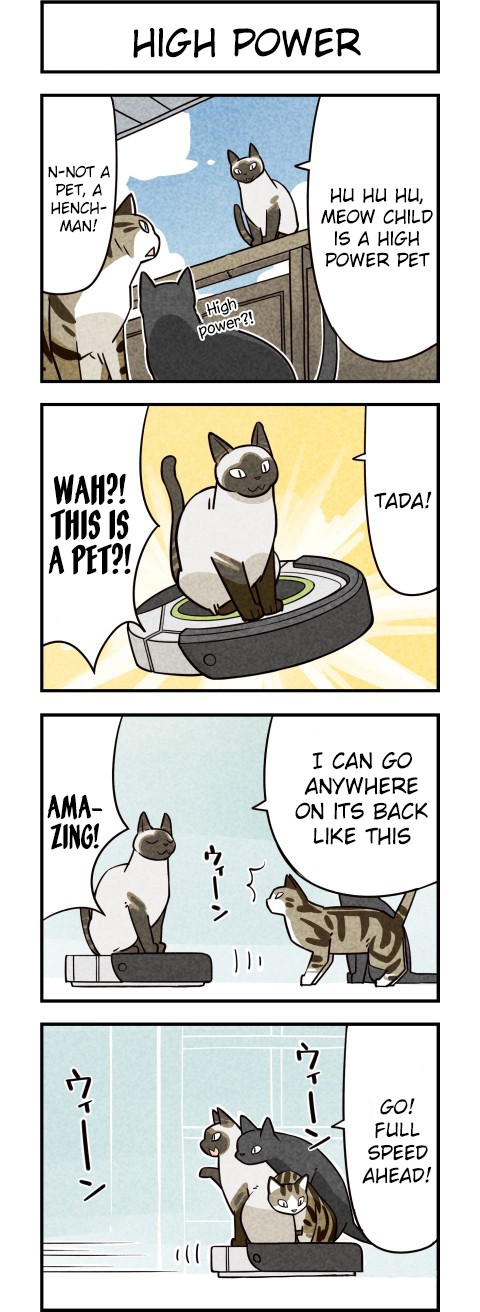 We Are Cats Chapter 10 page 3 - Chapter 10
