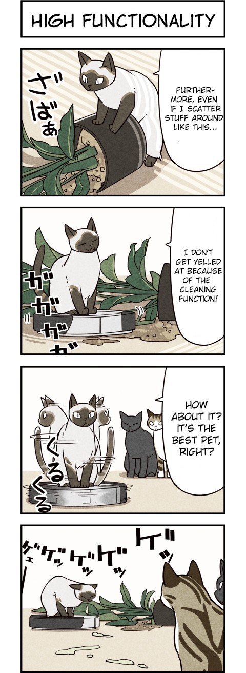 We Are Cats Chapter 10 page 4 - Chapter 10