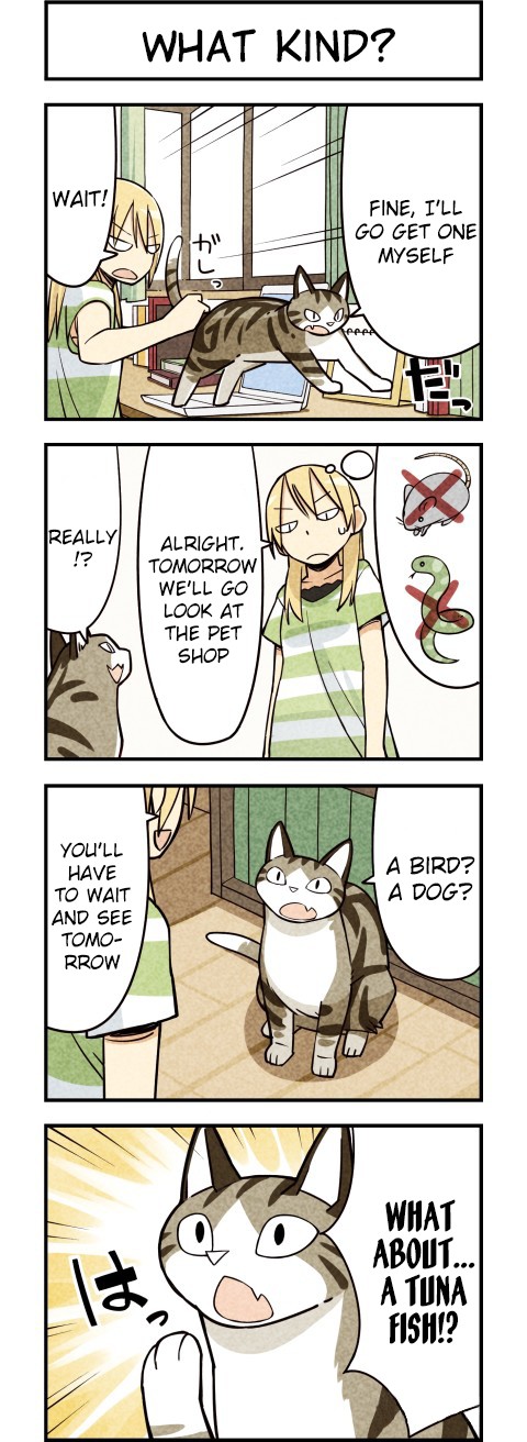 We Are Cats Chapter 11 page 3 - Chapter 11