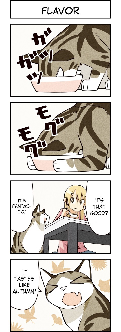 We Are Cats Chapter 12 page 5 - Chapter 12