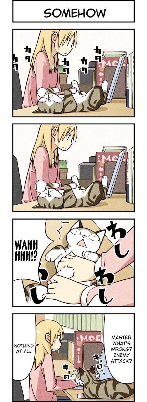 We Are Cats Chapter 13 page 5 - Chapter 13