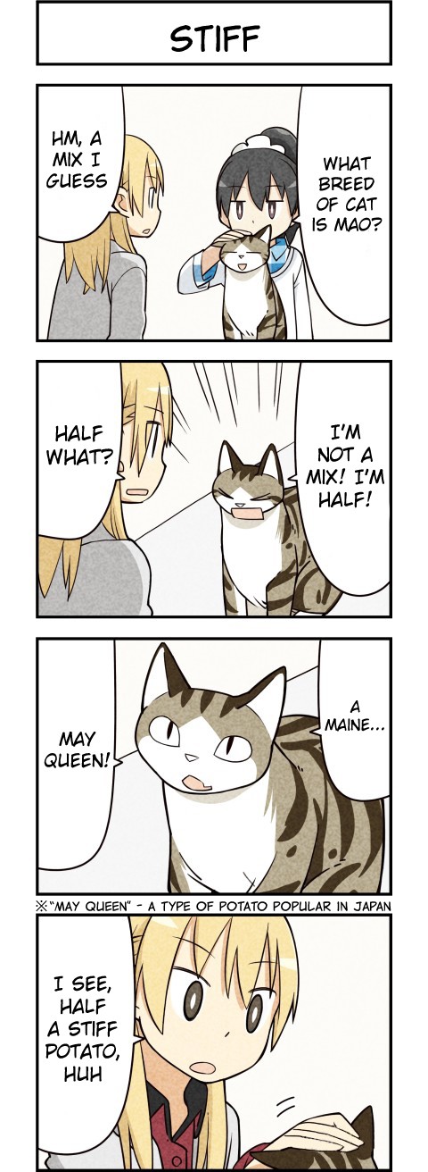 We Are Cats Chapter 15 page 5 - Chapter 15