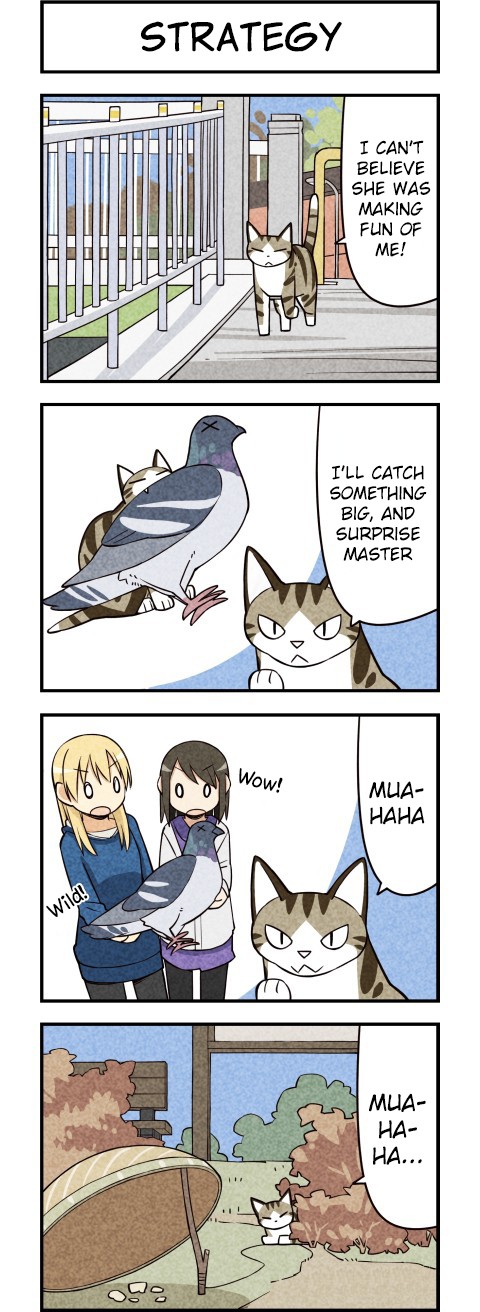 We Are Cats Chapter 16 page 4 - Chapter 16
