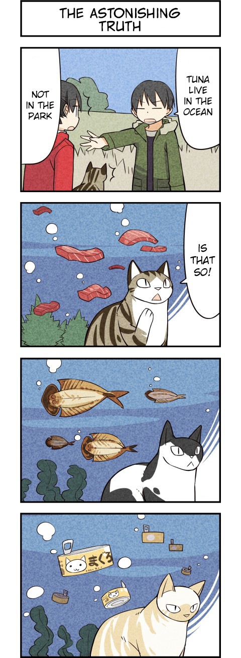 We Are Cats Chapter 17 page 5 - Chapter 17