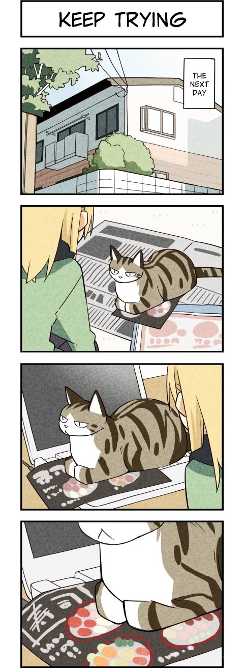 We Are Cats Chapter 20 page 2 - Chapter 20