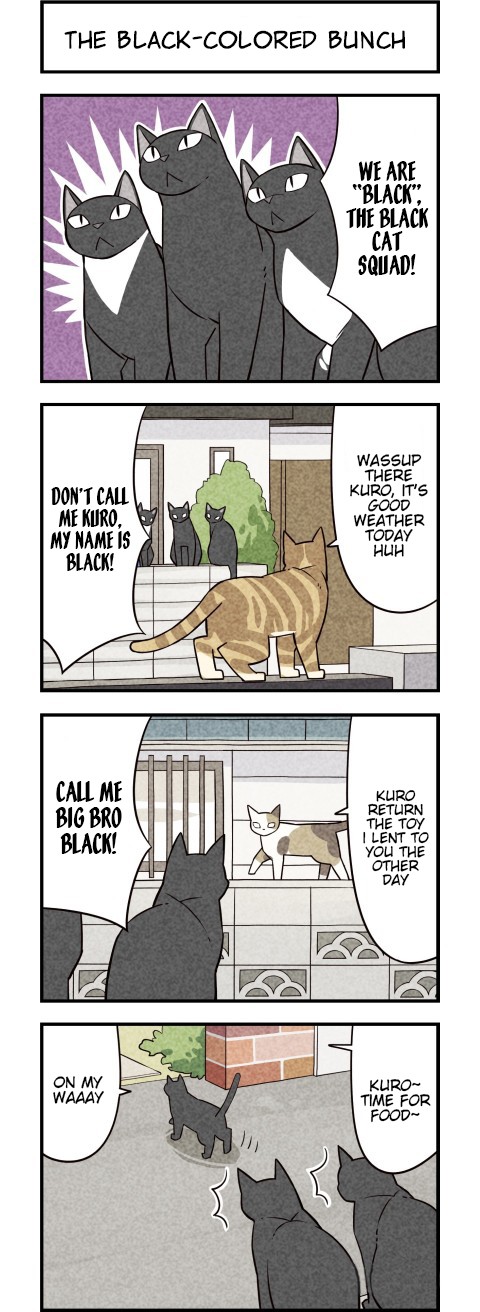 We Are Cats Chapter 21 page 2 - Chapter 21
