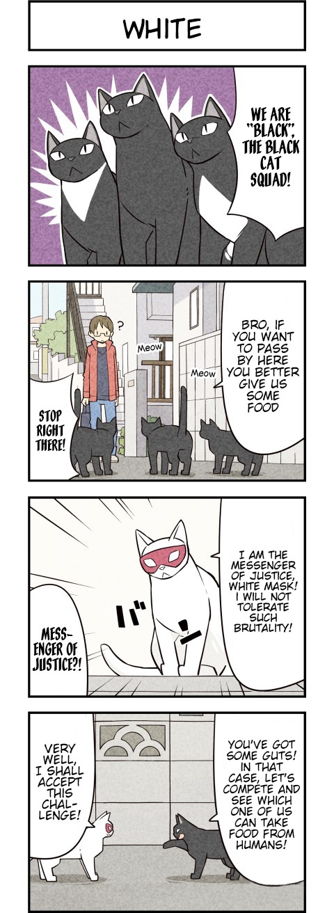 We Are Cats Chapter 21 page 3 - Chapter 21